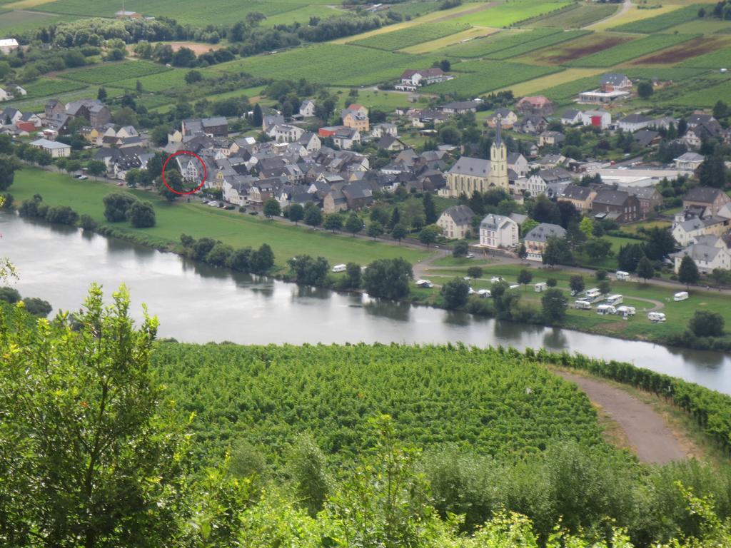 B&B Zum Treppchen Lösnich Extérieur photo