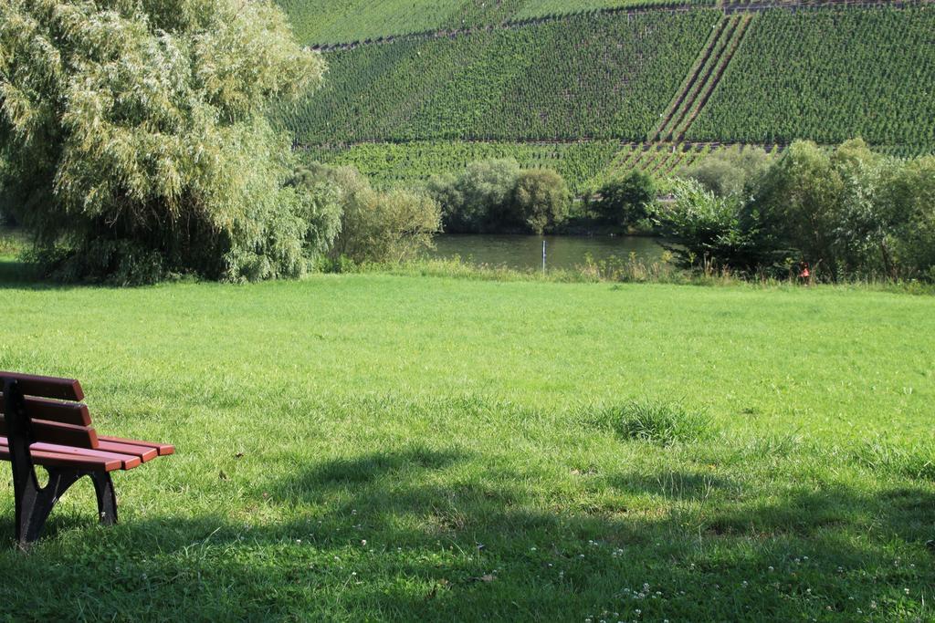 B&B Zum Treppchen Lösnich Extérieur photo