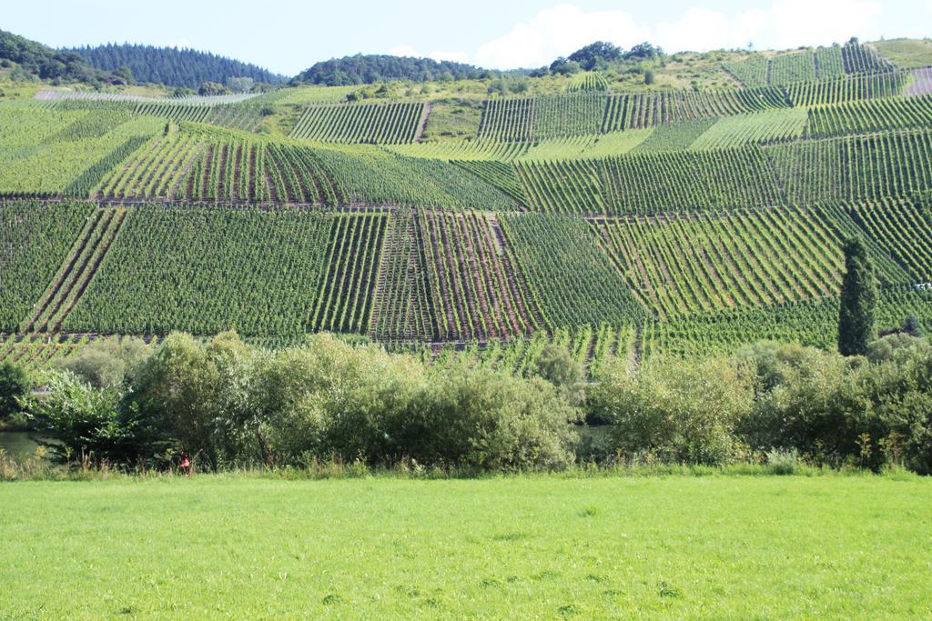 B&B Zum Treppchen Lösnich Extérieur photo